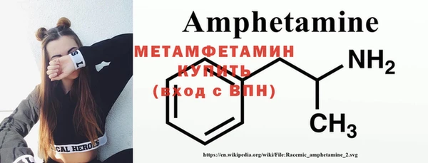 прущие грибы Михайловск