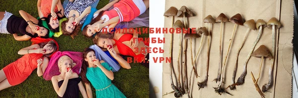 спайс Надым