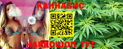 сатива Будённовск