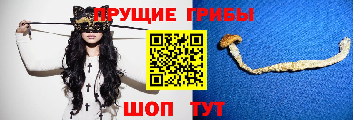 Псилоцибиновые грибы GOLDEN TEACHER  Новоалтайск 