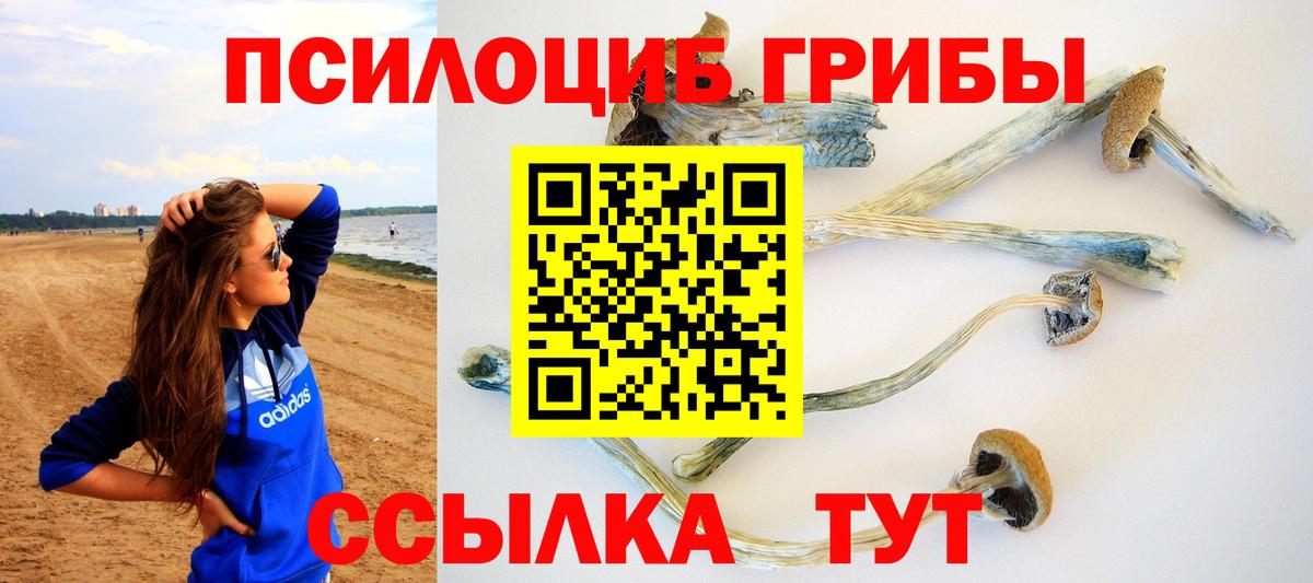 Галлюциногенные грибы Magic Shrooms Новоалтайск