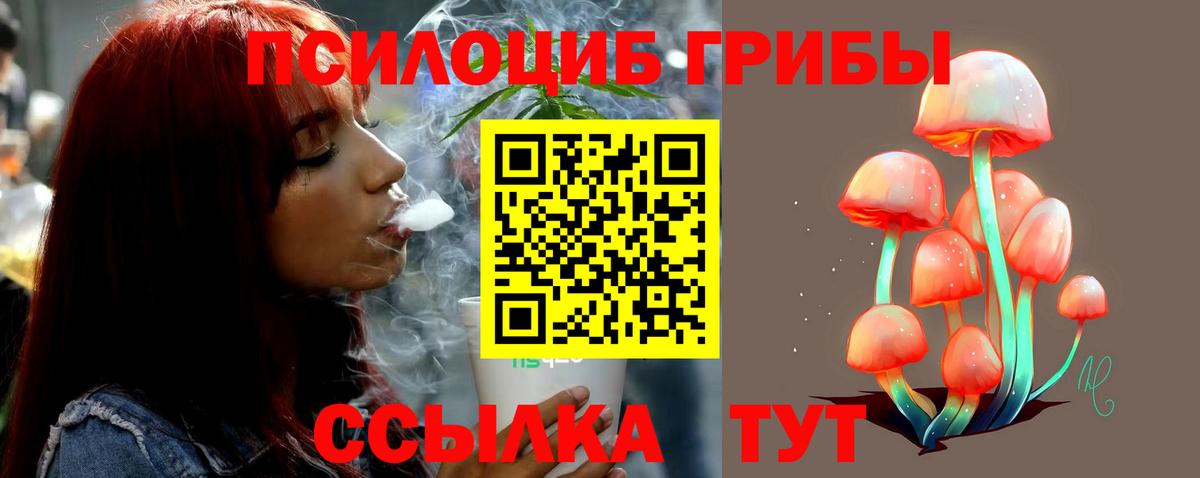 Псилоцибиновые грибы Magic Shrooms  Вход с VPN  Новоалтайск 