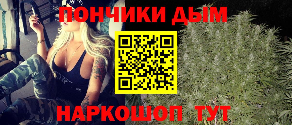 Каннабис планчик Новоалтайск